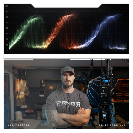 PRMGR // CS-01 BASE LUT