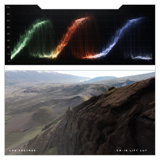 PRMGR DLM-BASE // DJI D-Log M